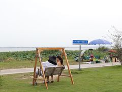 -七的湖·晚芳亭·阳澄湖农家菜·大闸蟹(莲花岛店)