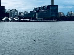 -上海当代艺术博物馆