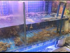 -银鲨海鲜烤肉火锅自助餐厅(五星店)