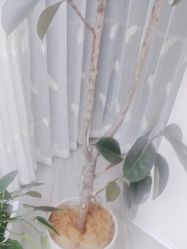 -HEYAN荷妍专业脱毛连锁机构