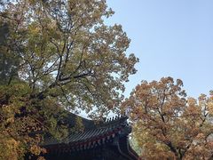 -香山公园