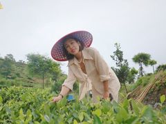 -汉艺唐风茶艺培训(联发华美空间店)