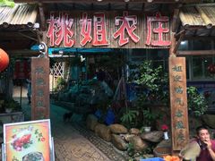 -桃姐农庄老字号(从化温泉店)