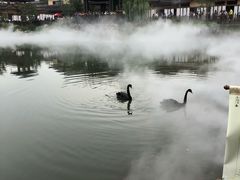 -诗经里