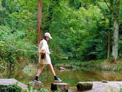 -素山寺森林公园