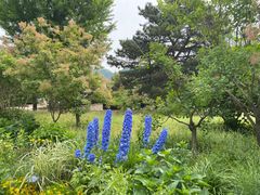 -国家植物园南园