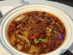 水煮牛肉-峨嵋酒家(清河店)
