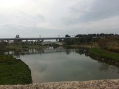 -宝安西湾红树林湿地公园