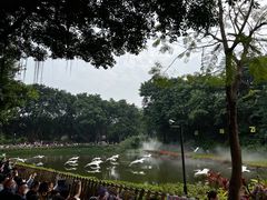 -广州长隆飞鸟乐园