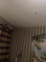 -静博士·养生养颜