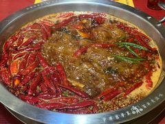 经典谭公红锅-谭鸭血老火锅(七宝万科广场店)