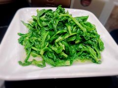 清炒高山豆苗-新南华大酒店(长寿店)