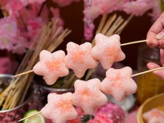 -黄记煌三汁焖锅(新佳丽江汉路店)