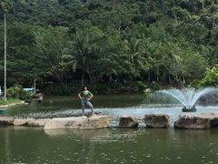 -呀诺达热带雨林