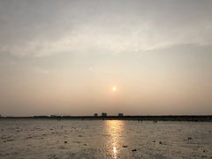 -南汇嘴观海公园