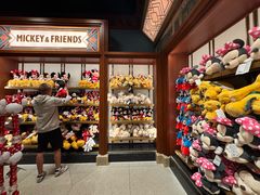 -巴黎迪士尼乐园