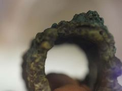 -Rabbit Cafe私房西餐甜点咖啡(栖霞路店)