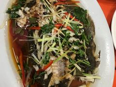 -烁佳海鲜大馅饺子