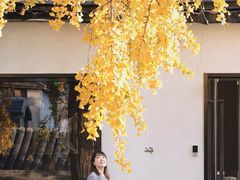 -自如ZSPACE四合院艺术餐厅
