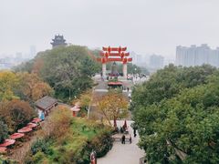 -黄鹤楼公园(黄鹤楼)