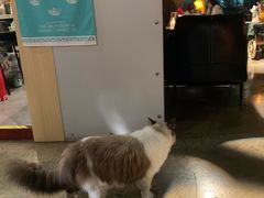 -咖法森林·咖啡  酒吧(天河店)