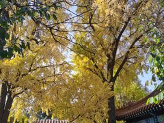 -戏马台景区