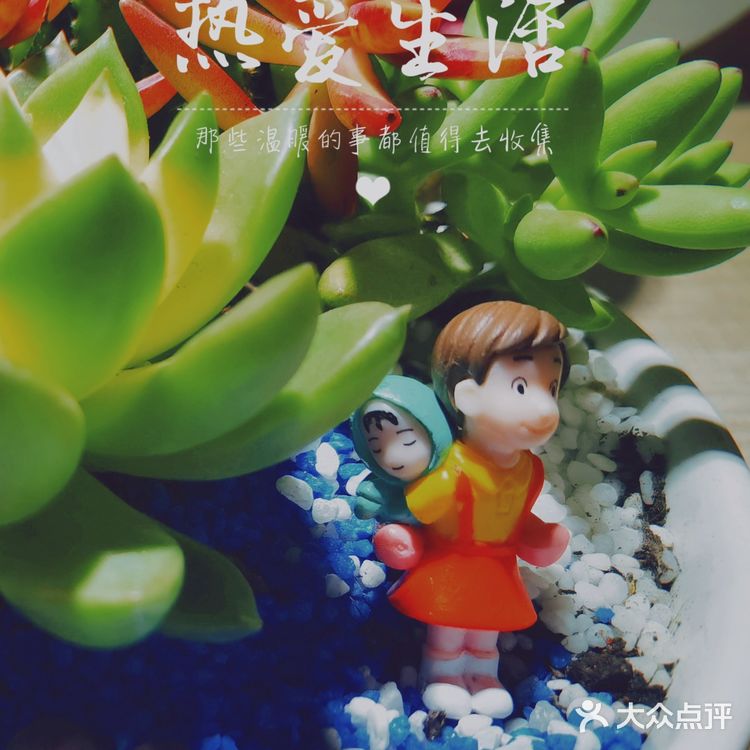 [胜利]来蓝色港湾体验免费露营市集[胜利]