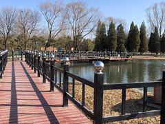 -古塔公园