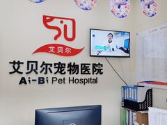-艾贝尔宠物医院 ·内科全科(梁溪路店)