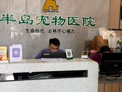 -半岛宠物医院24小时(科华中路店)