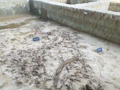 -金沙遗址博物馆