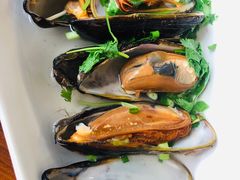 鲜青口贝-喜来酌海鲜·饺子(和平一店)