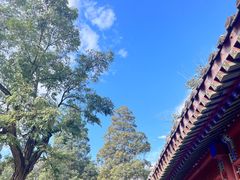 -香山公园