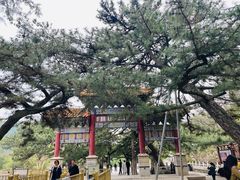-潭柘寺景区