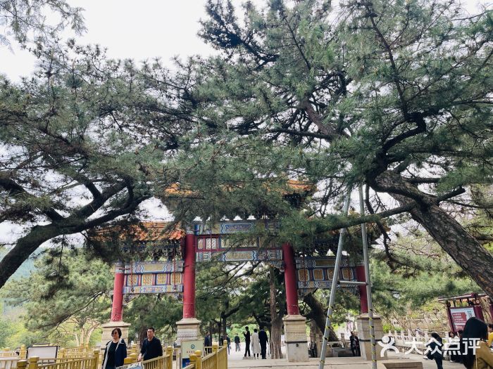 潭柘寺景区图片