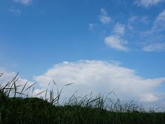 -苏州太湖湖滨国家湿地公园