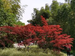 -苏州河梦清园环保主题公园