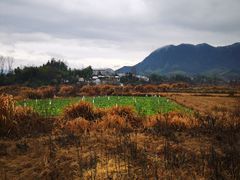 -黟县屏山村
