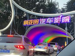 -枫花园汽车电影院(朝阳公园店)