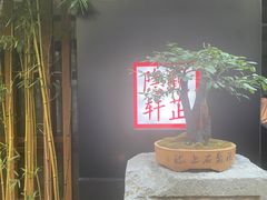 -觀芷隐轩