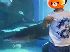 -成都浩海立方海洋公园