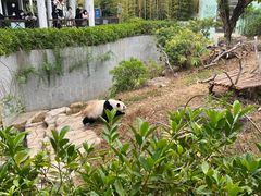 -南宁市动物园