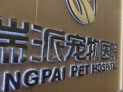 -瑞派康怡24h宠物医院·犬猫医疗中心·微创绝育(瑞景分院)