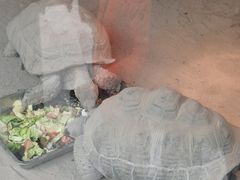 -杭州少年儿童公园