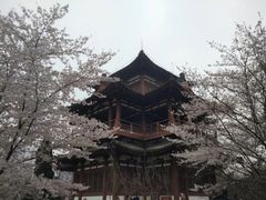 -西安青龙寺遗址景区