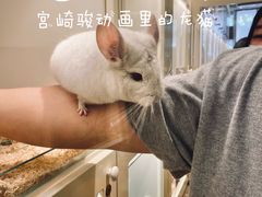 -龙猫仔乐园(惠福东路店)