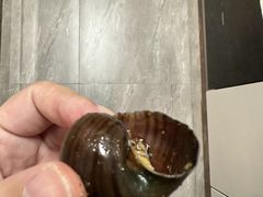 -八0一首创霍老七老螺蛳(万东镇龙景园店)