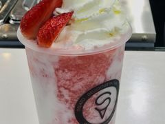 莓莓哒-极拉图·现制冰淇淋(大卫城店)