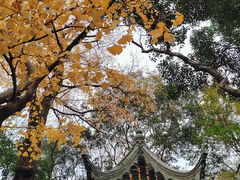 -秋霞圃