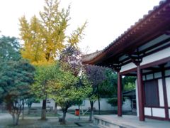 -西安青龙寺遗址景区